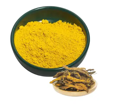 Berberin pulver Bulk