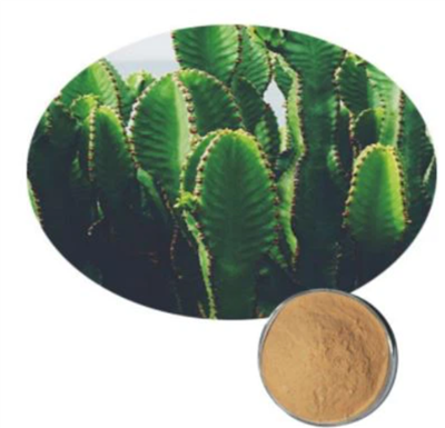 Prickly Pear-ekstrakt